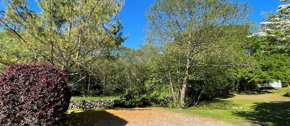Wooded path on the park