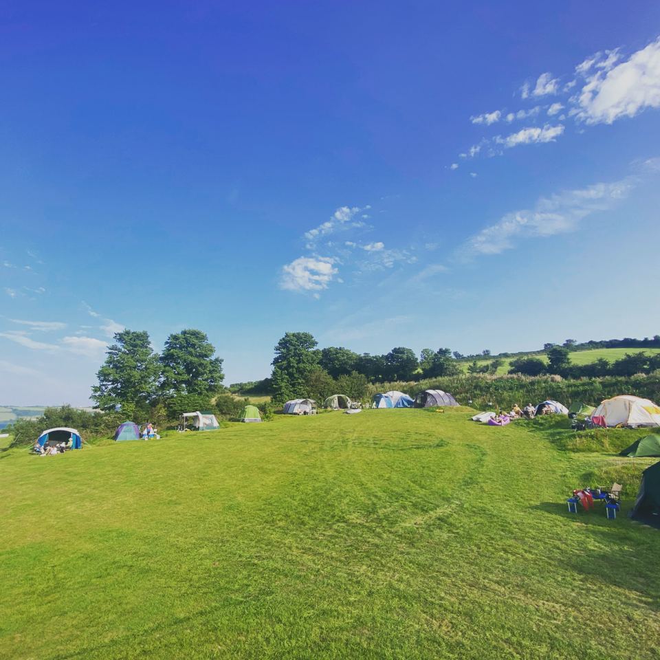 Tents on the grass field