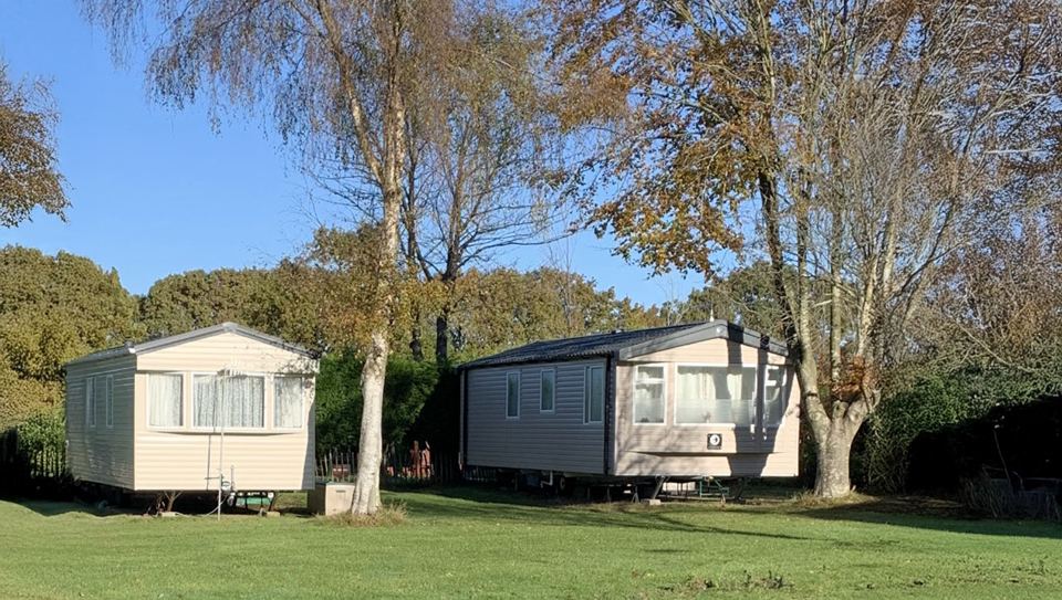 Caravans under the trees