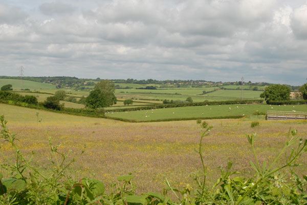 Sussex countryside view