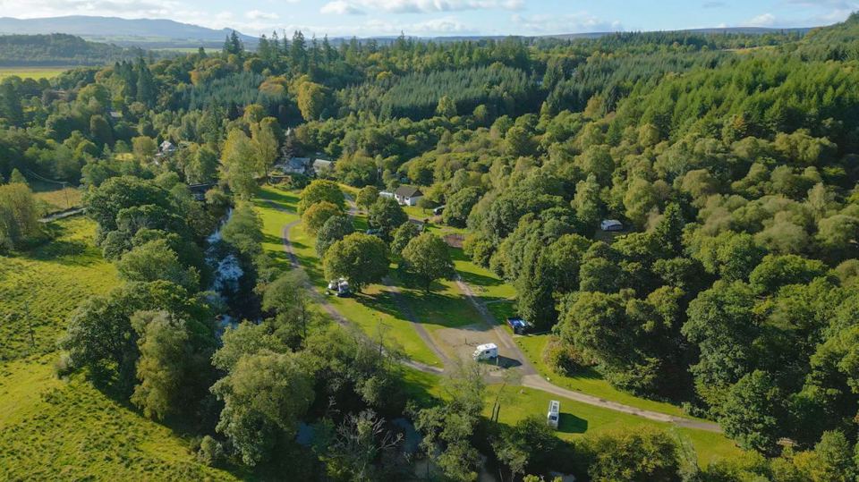 Forest and river from above