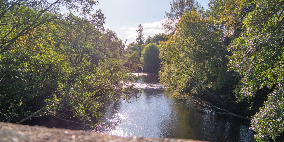 River Forth by the site