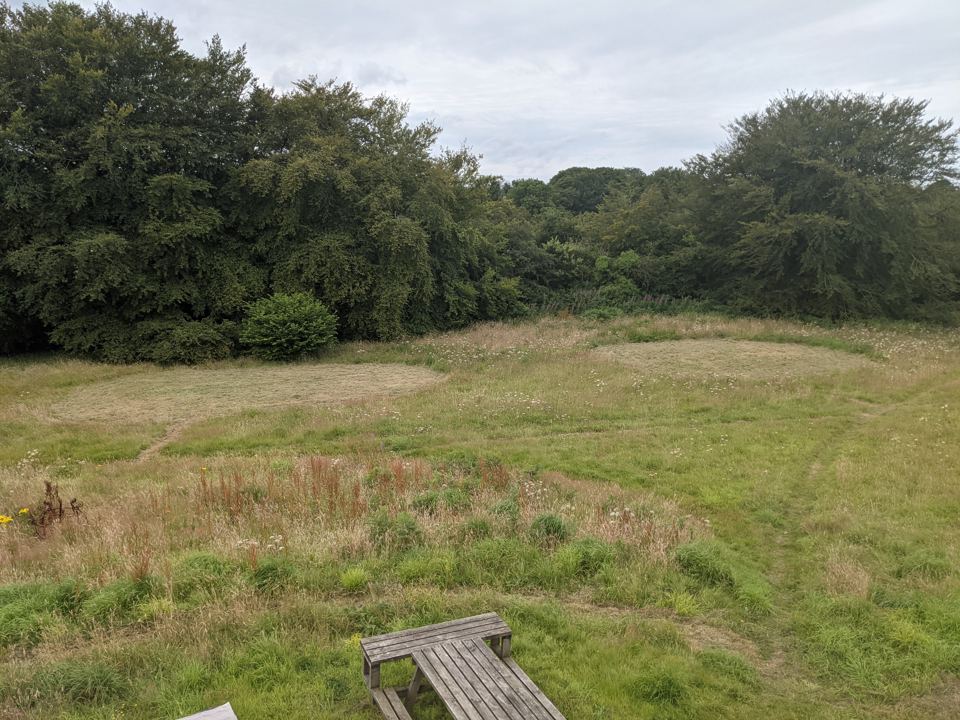 Mown pitch in the meadow