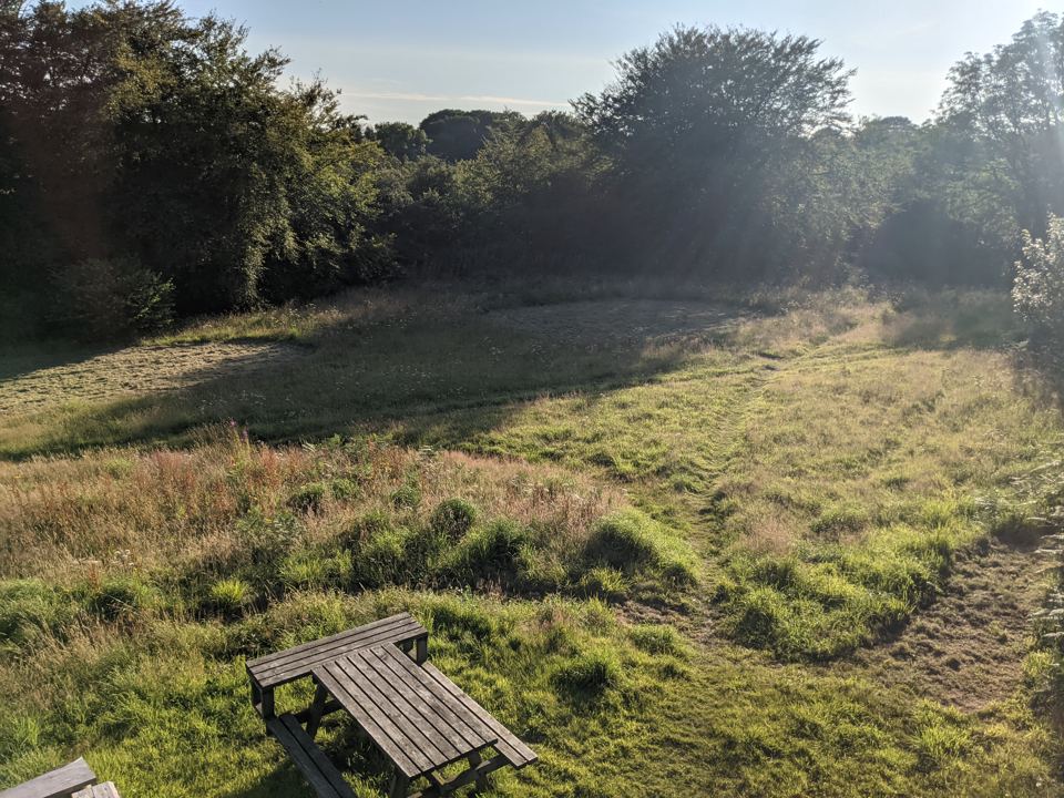 Meadow pitch with picnic table