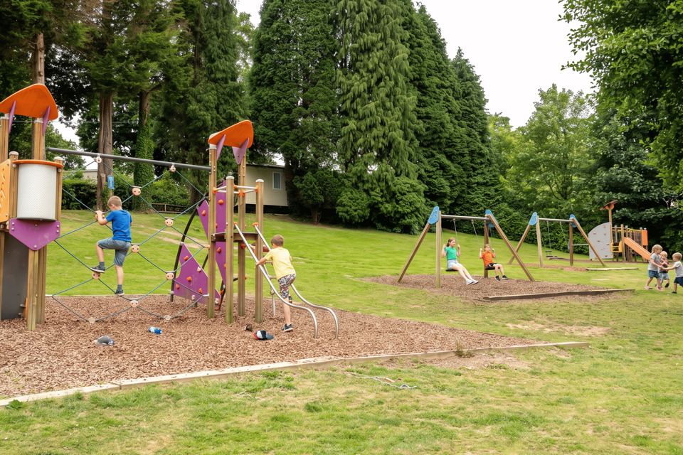 Woodland play area