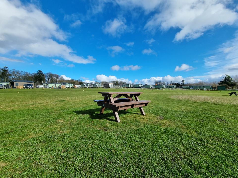 Grass area with picnic bench