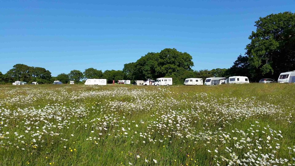 Caravans beyond the daisy meadow