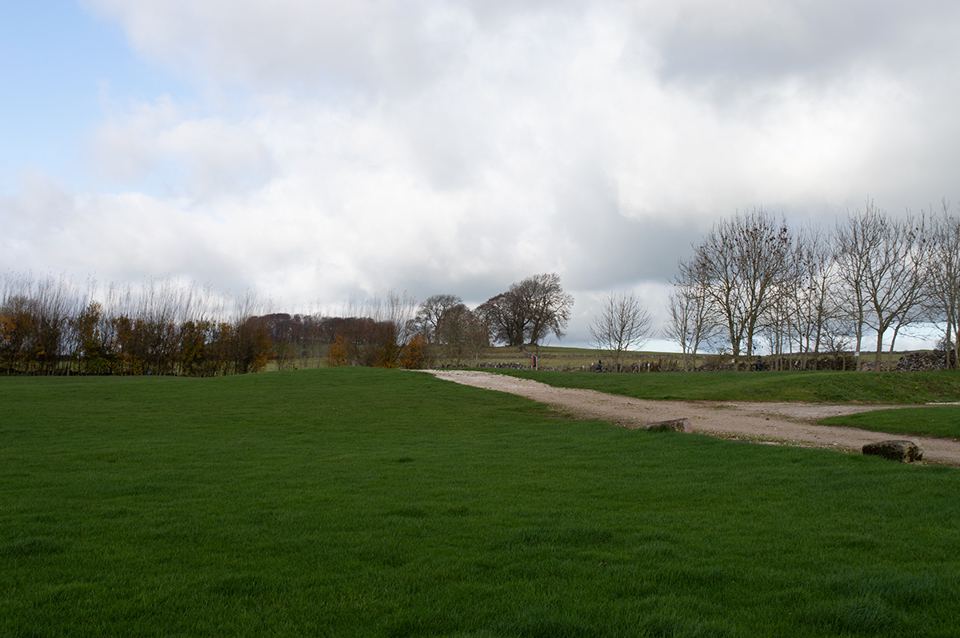 Grass field and track