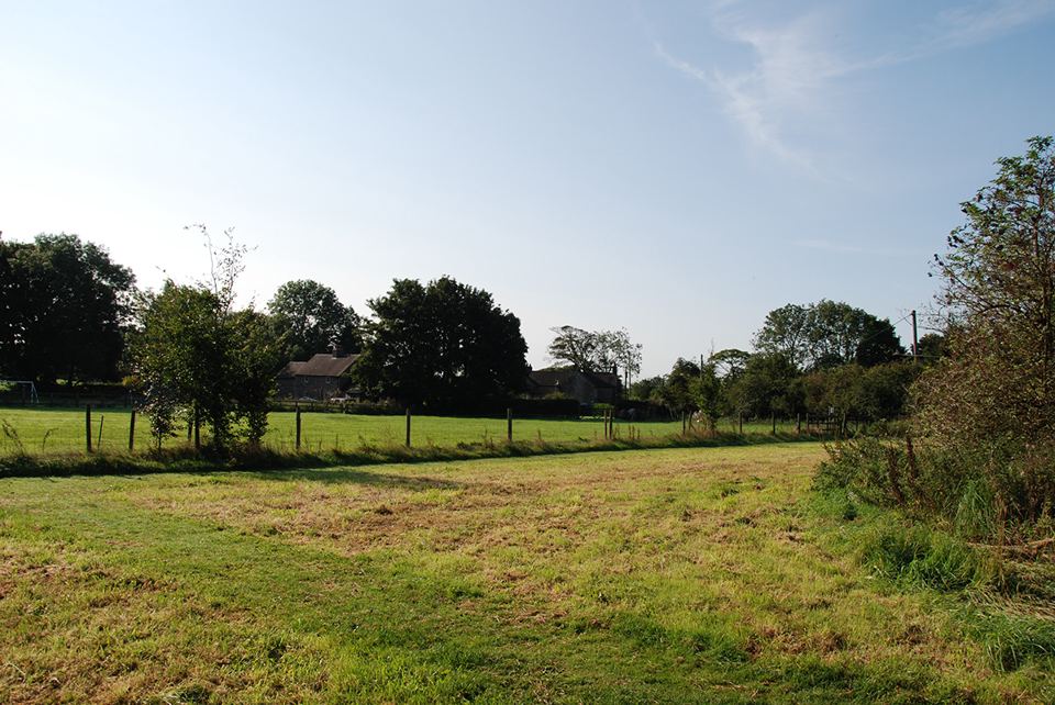 Open grass field