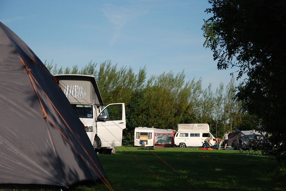 Tents and campervans on the grass