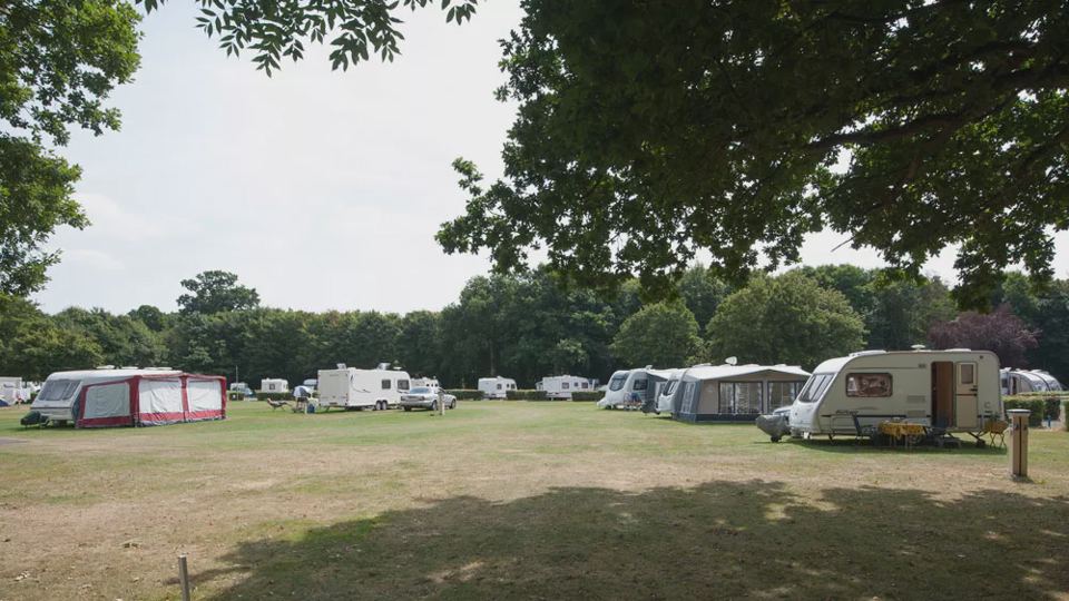 Open field of pitches