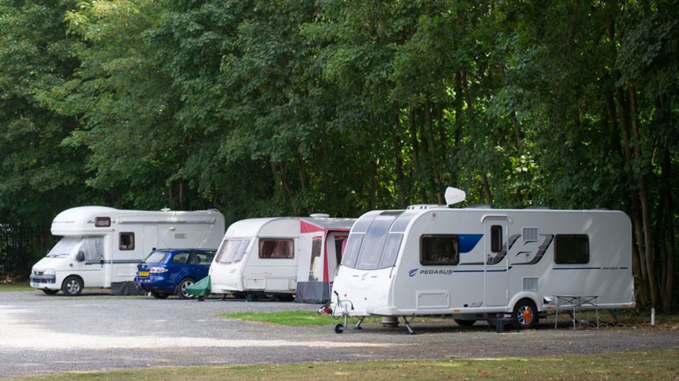 Pitches against the woodland