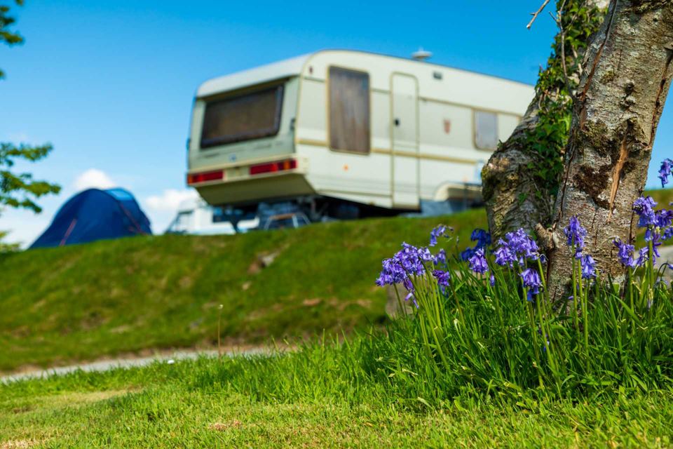 Caravan on the grass by the bluebells
