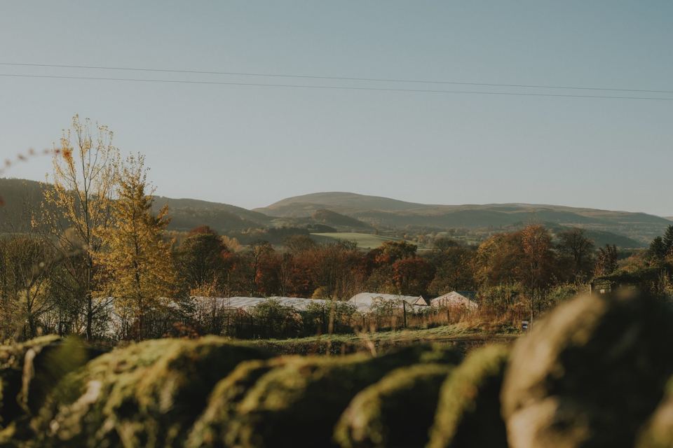 Hills beyond the polytunnels