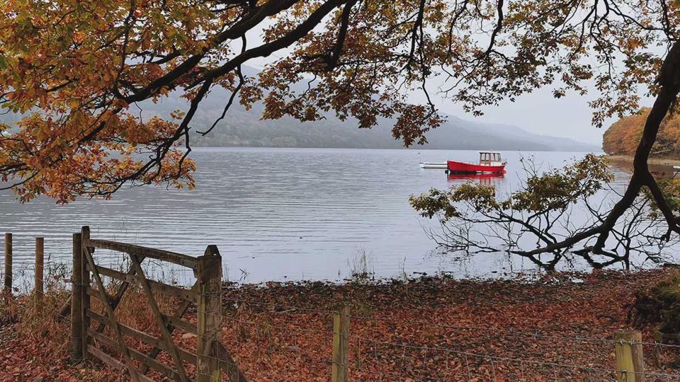 Lake view through the trees