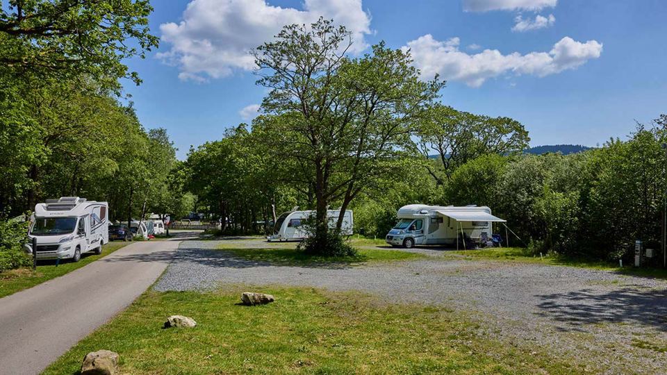 Touring pitches under trees