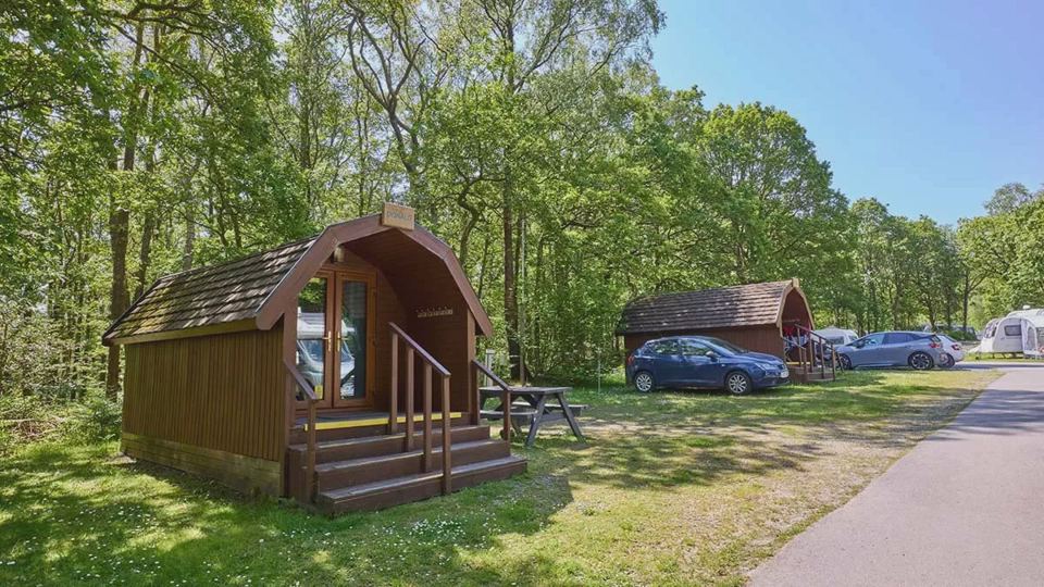 Camping pods among the trees