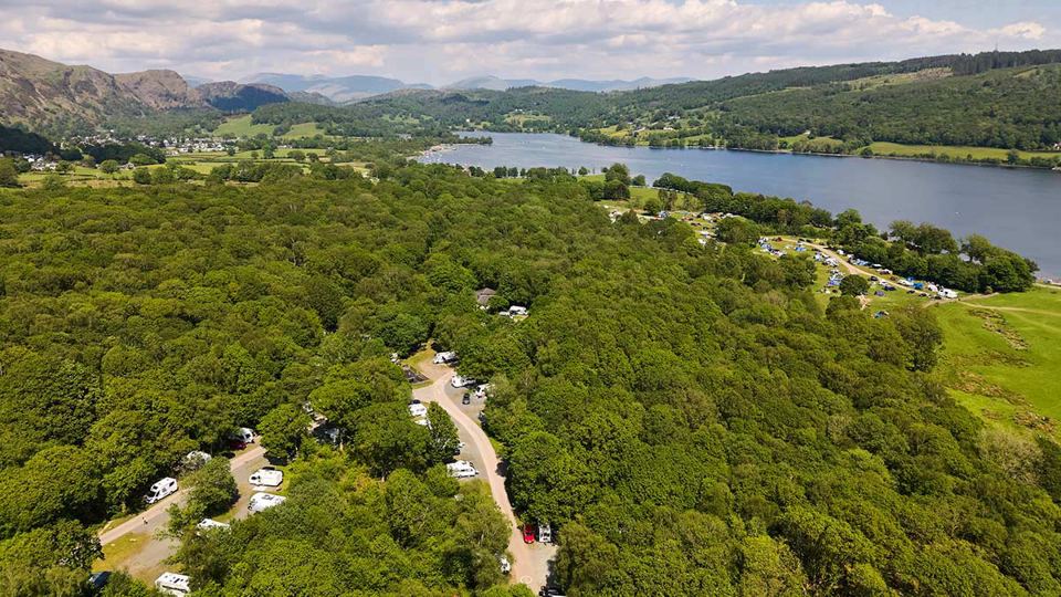 Aerial view of the woodland site