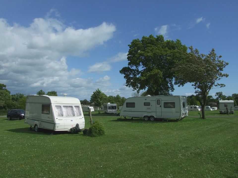 Caravans under the oaks