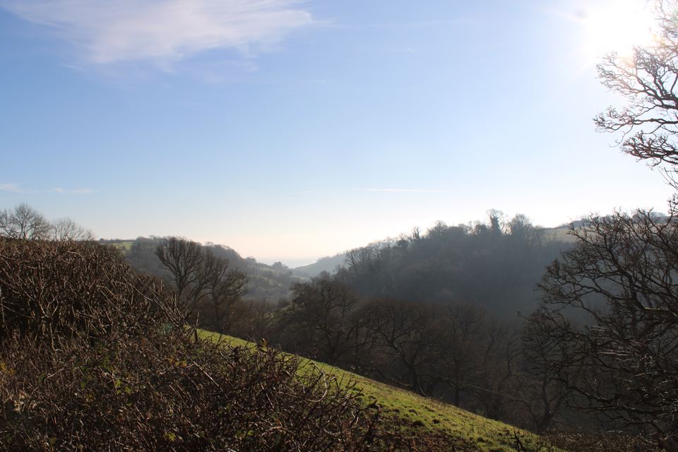 Wooded valley view