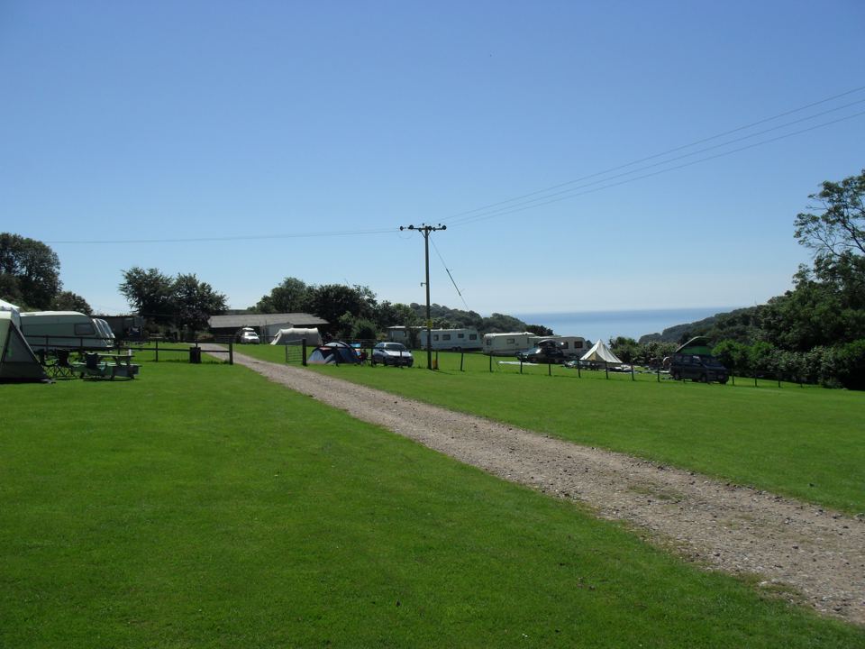 Grass field with sea glimpse