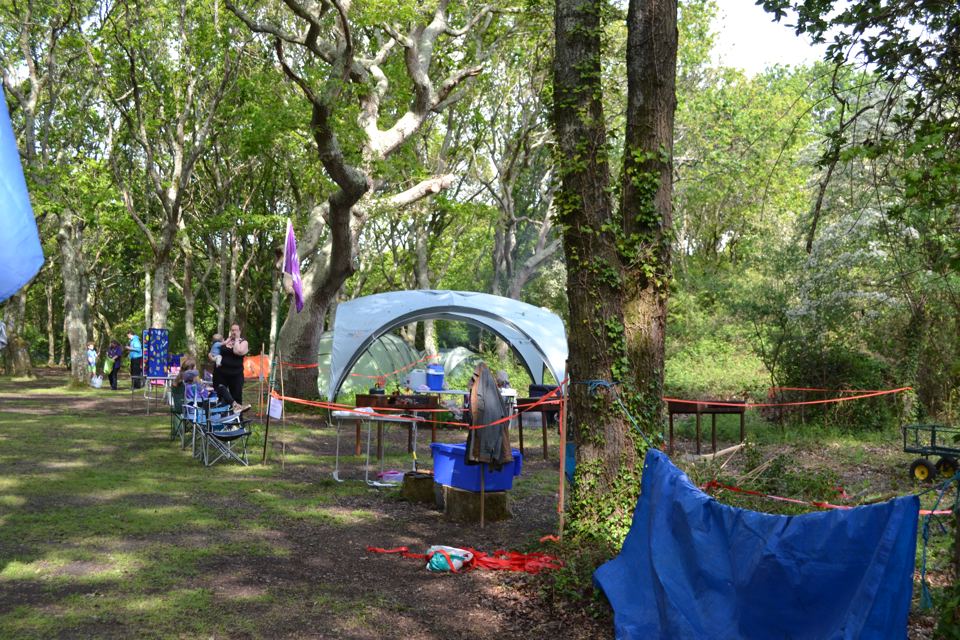 Camping area under the oaks