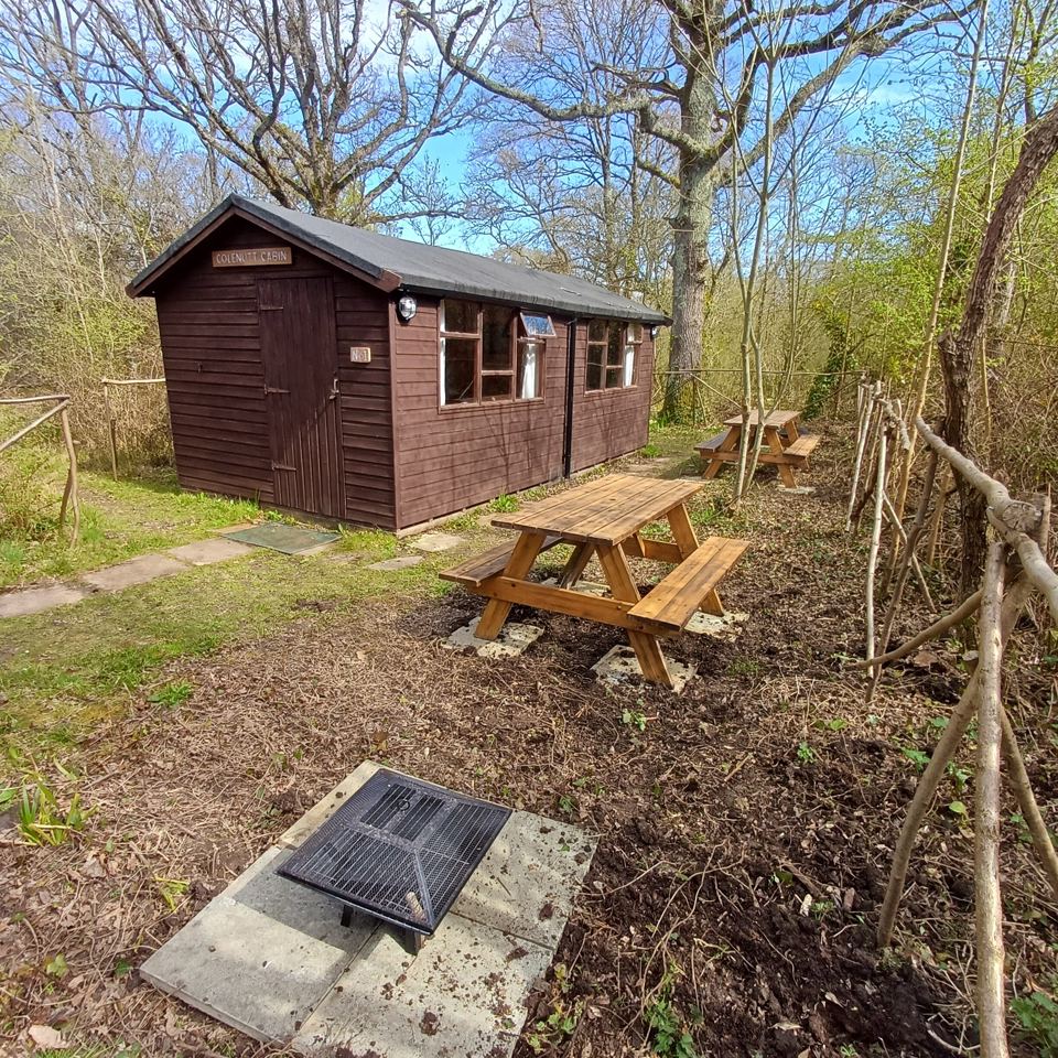 Hut and fire pit in the woods