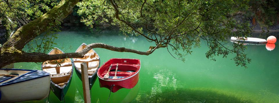 Rowing boats on the lake