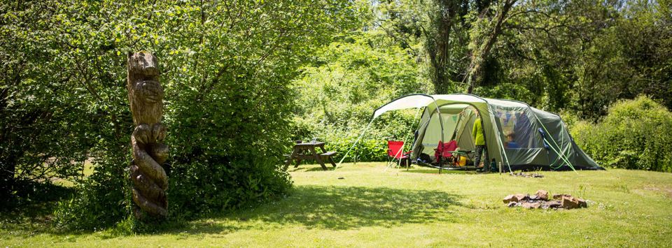 Tent on the grass by the tree carving