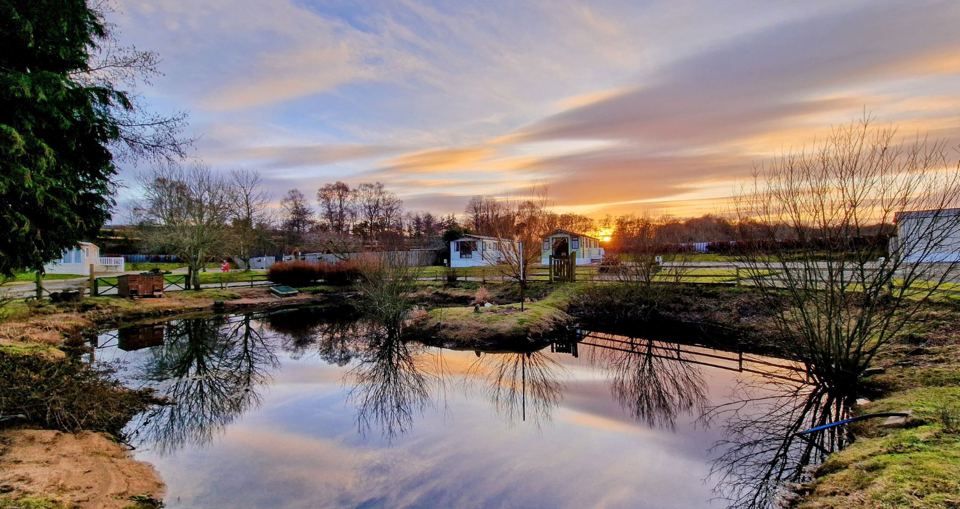Pond at sunset