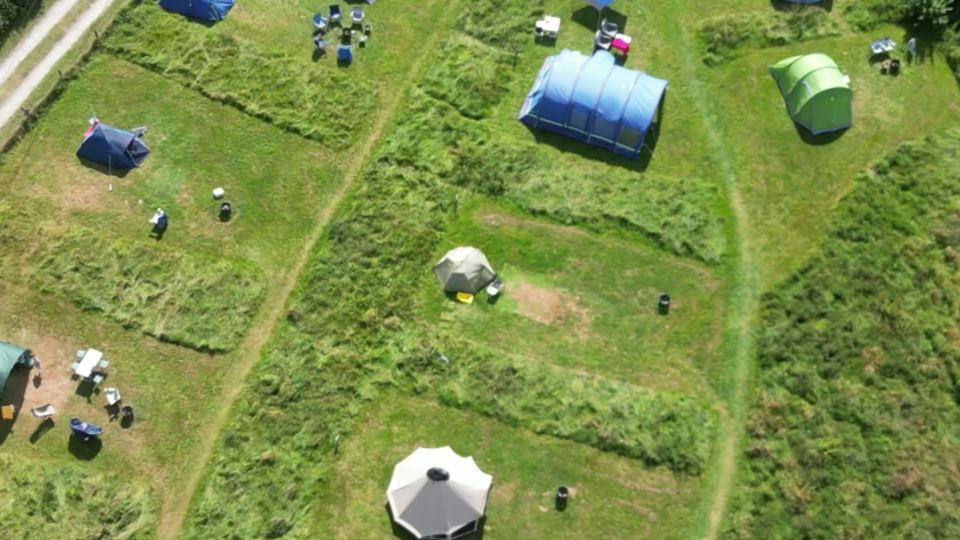 Tents in mown plots