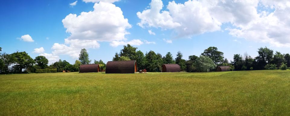 Pods across the field