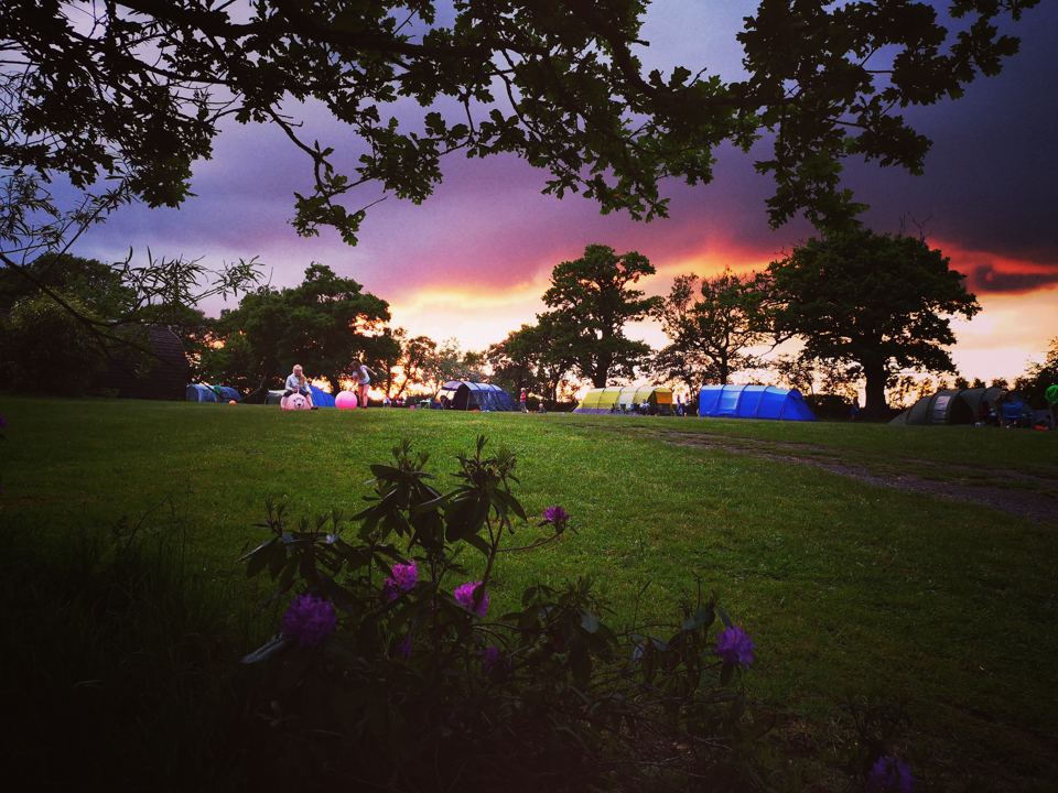 Camping field at sunset