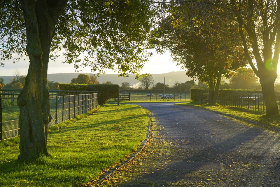 Drive through the farm