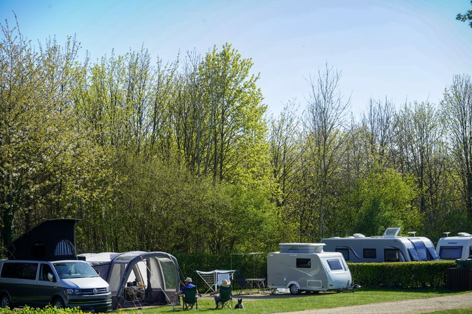 Touring pitches by the trees