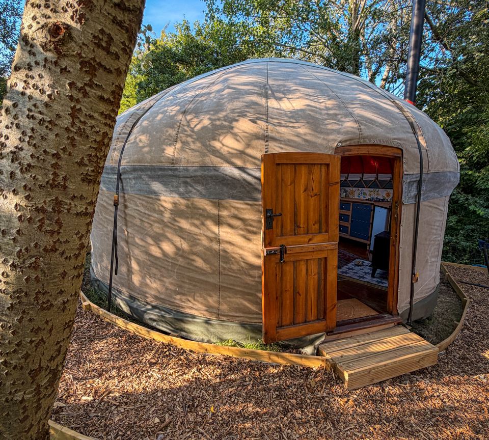 Yurt among the trees