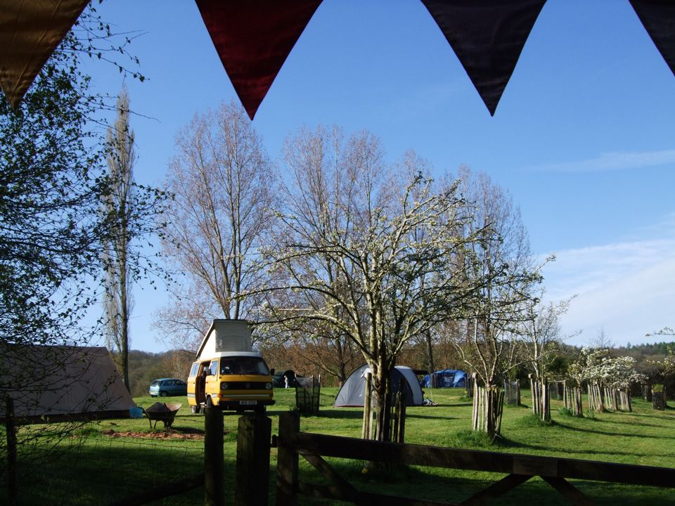 Camping among the orchard trees