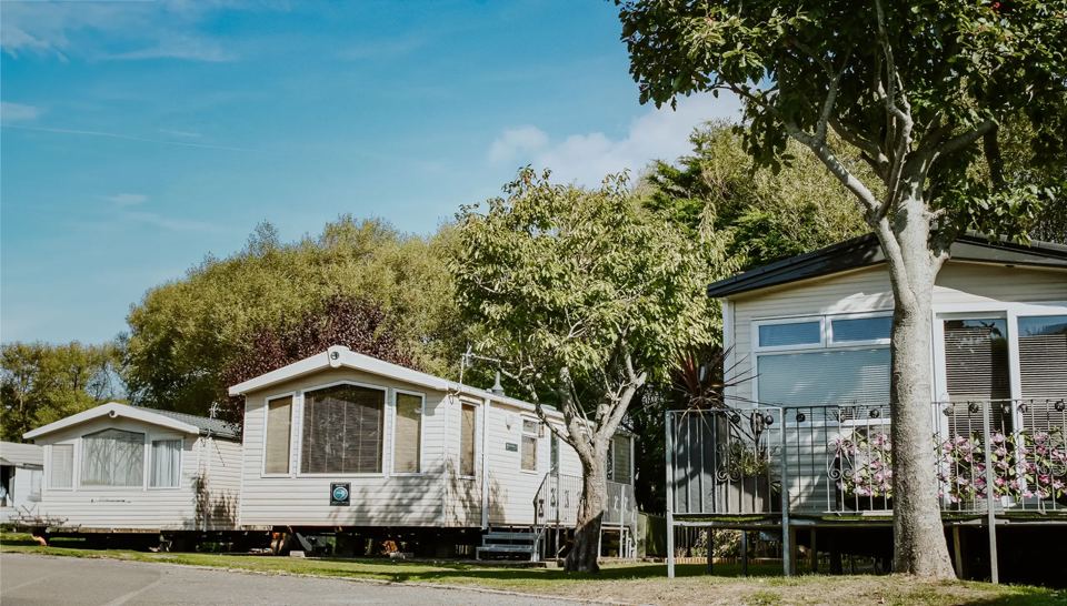 Holiday homes among trees