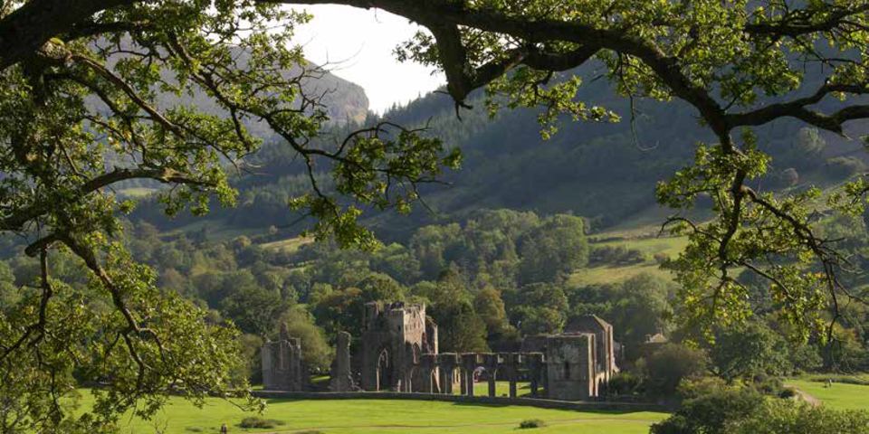Priory ruins in the valley