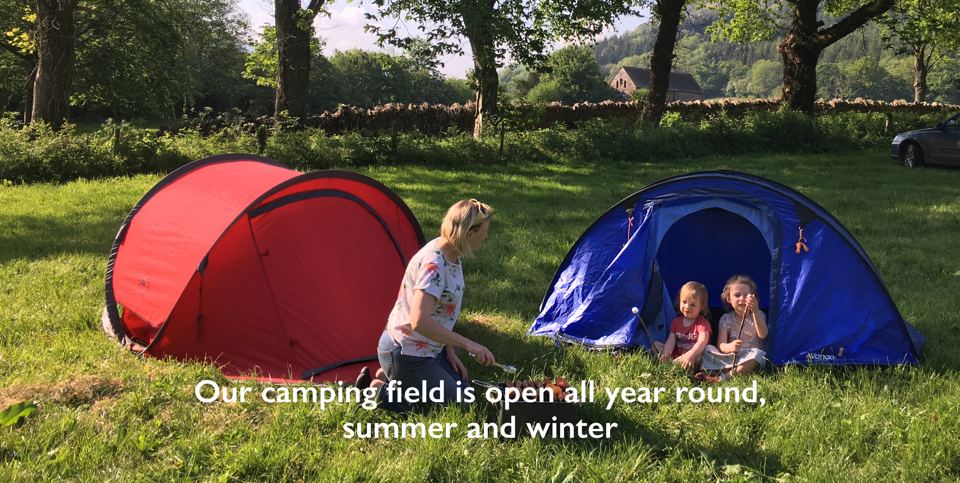 Tents on the camping field