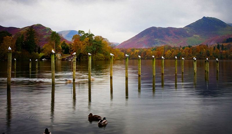 Lake with mooring posts