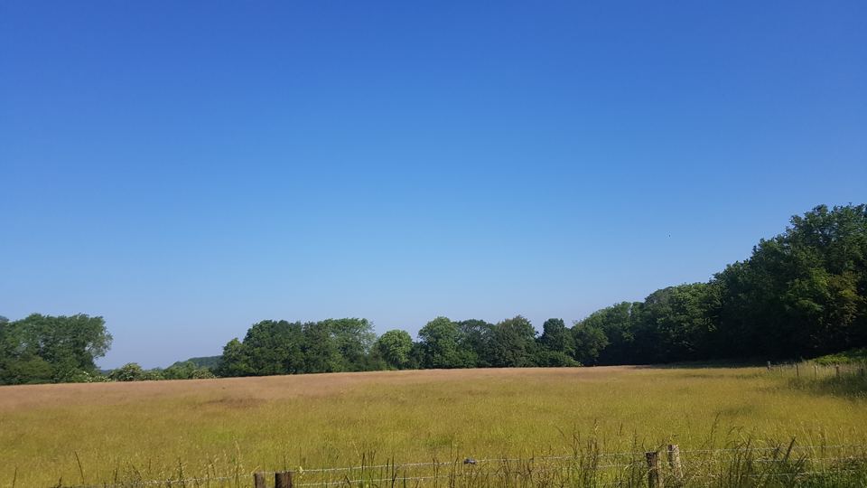 Open grass camping field