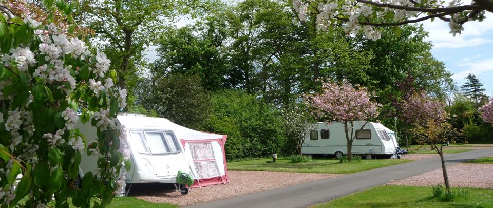 Touring pitches among trees