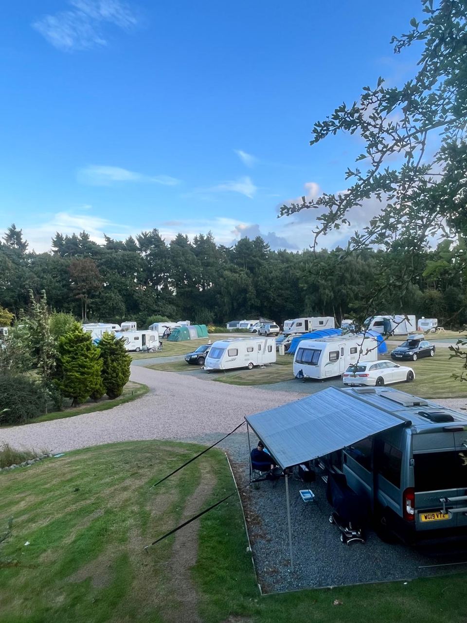 Touring pitches among trees