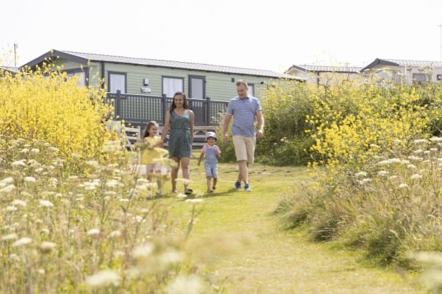 Path through wildflowers by the caravans
