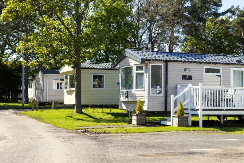 Caravans among the trees