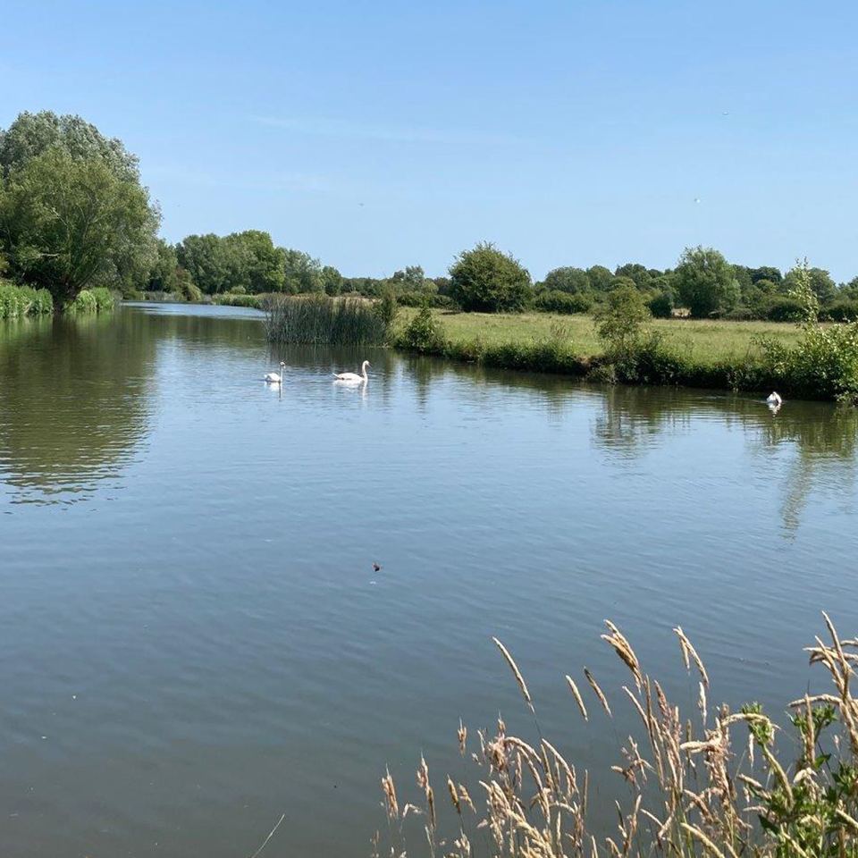 The Thames beside the site