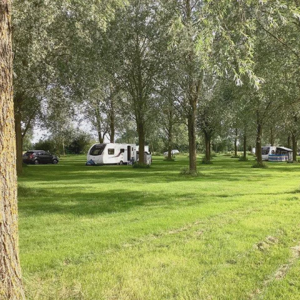 Pitches under the trees
