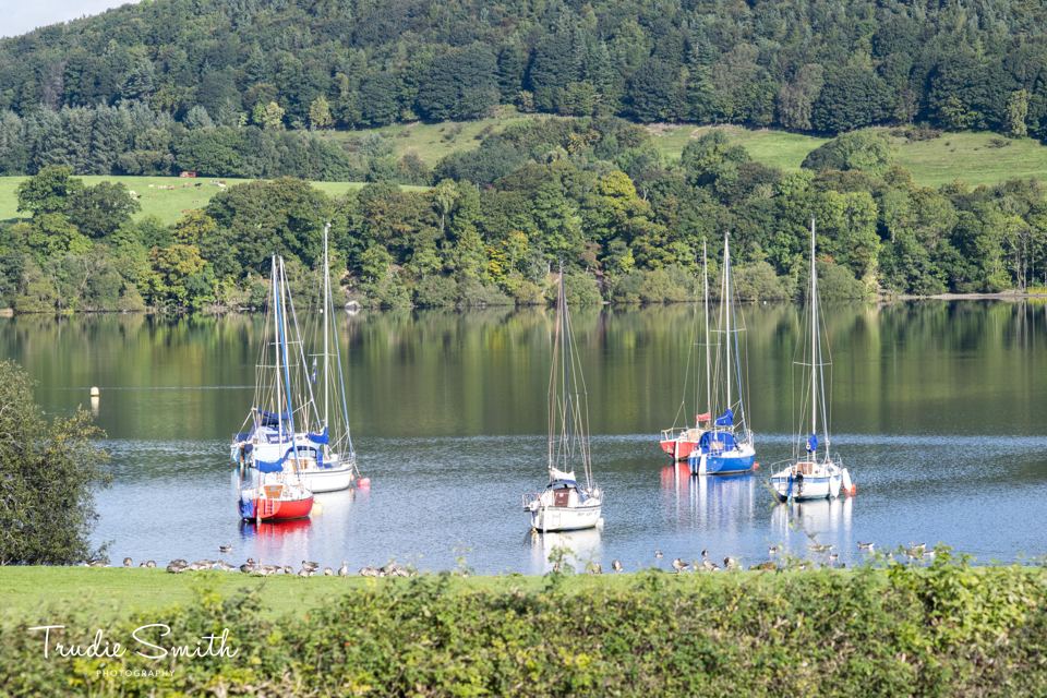 Yachts moored on the lake