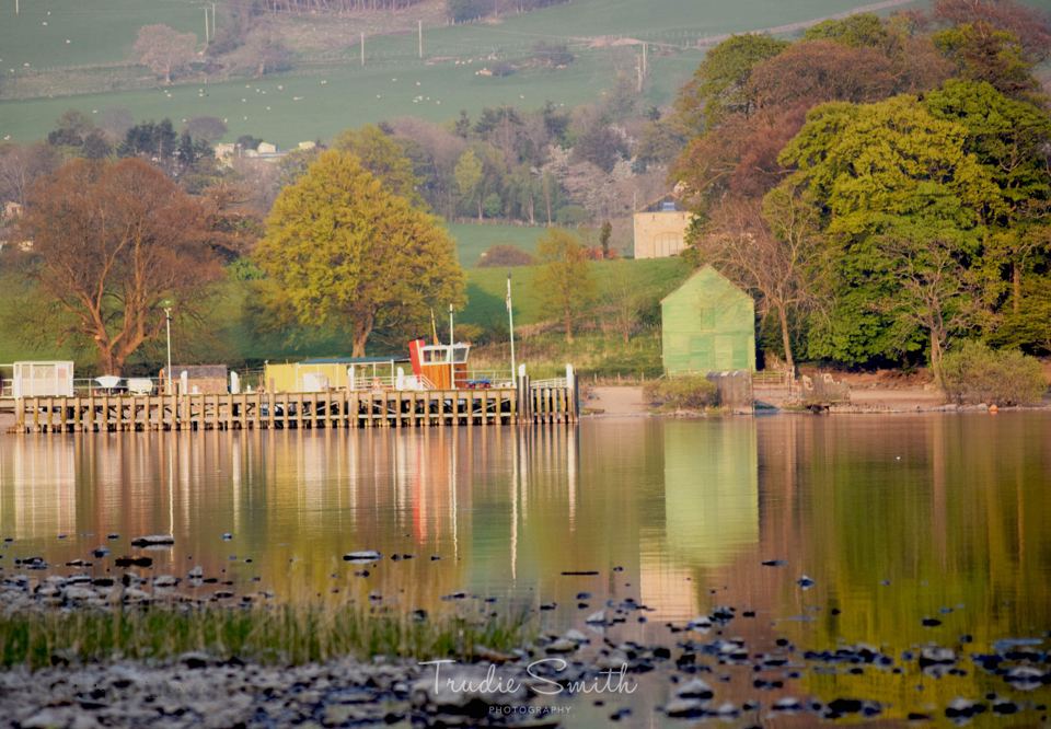 Jetty and trees on the lake shore